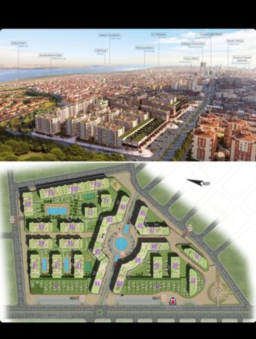 Meydan Ardıçlı Projesi (3)